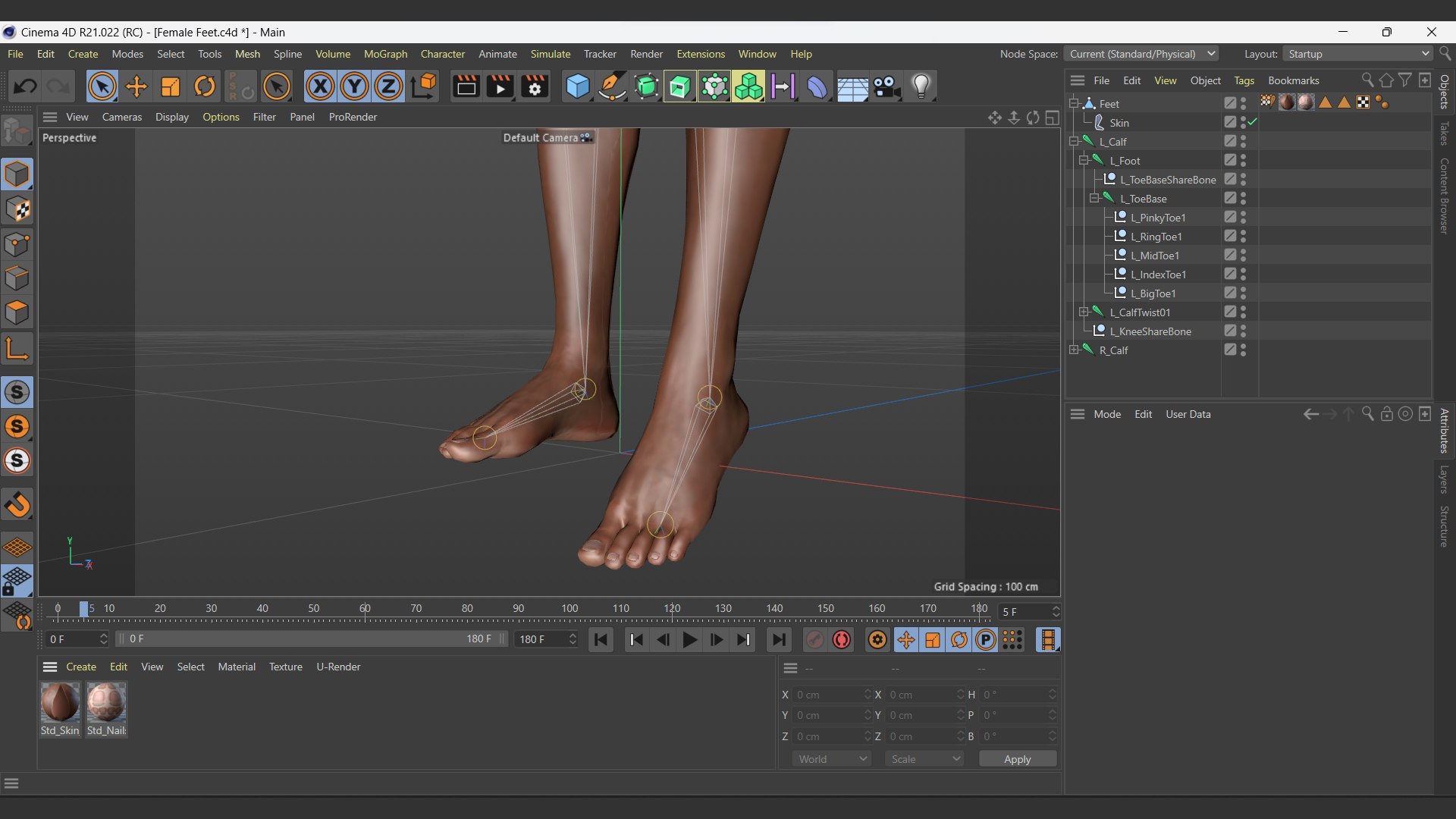 Female Feet Rigged Dark Skin For Cinema 4D 3D Model - TurboSquid 2070612