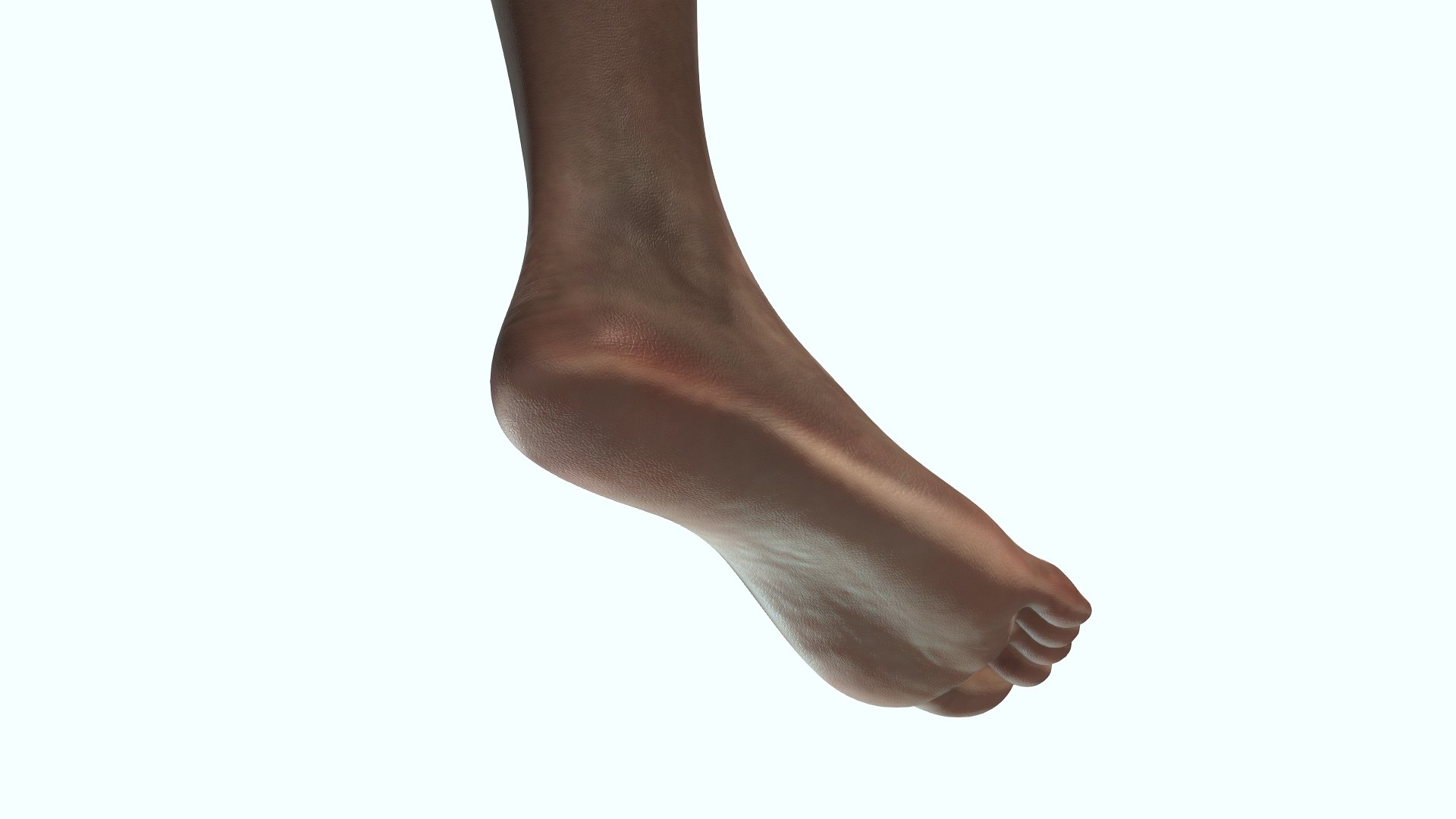 Female Feet Rigged Dark Skin For Cinema 4D 3D Model - TurboSquid 2070612