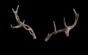 antlers horns 02