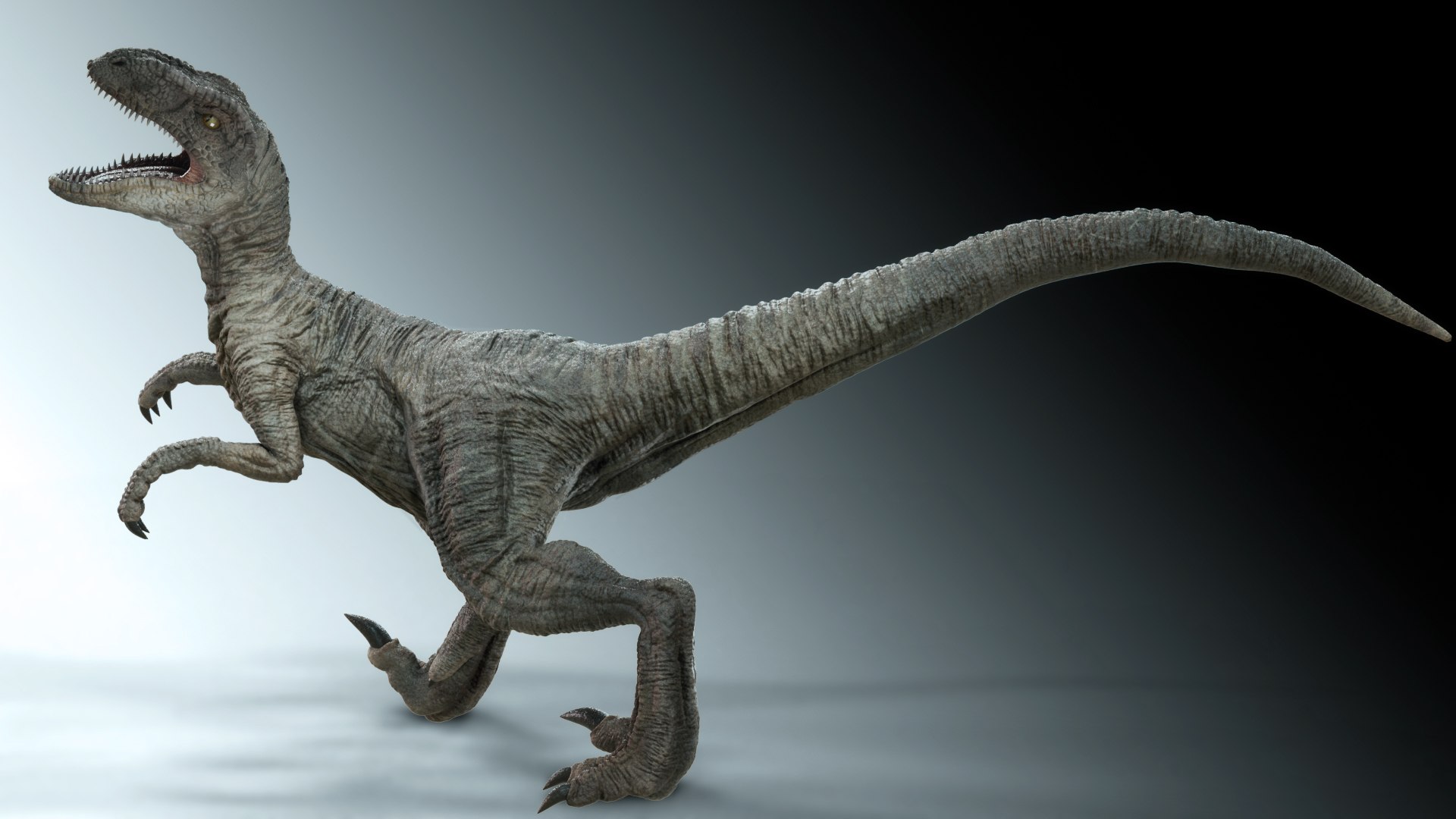 3D Velociraptor - TurboSquid 2129625