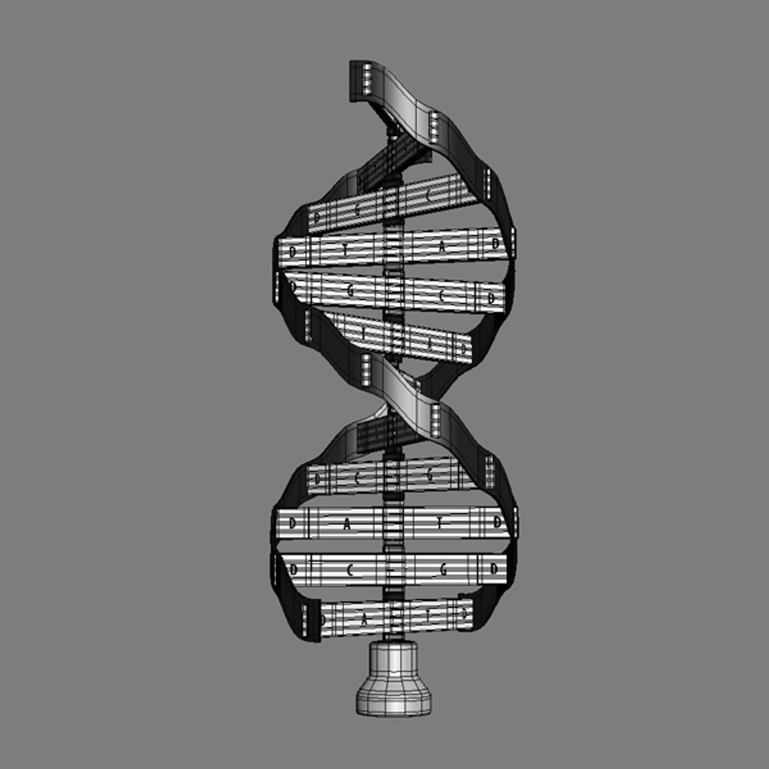Dna 3d X