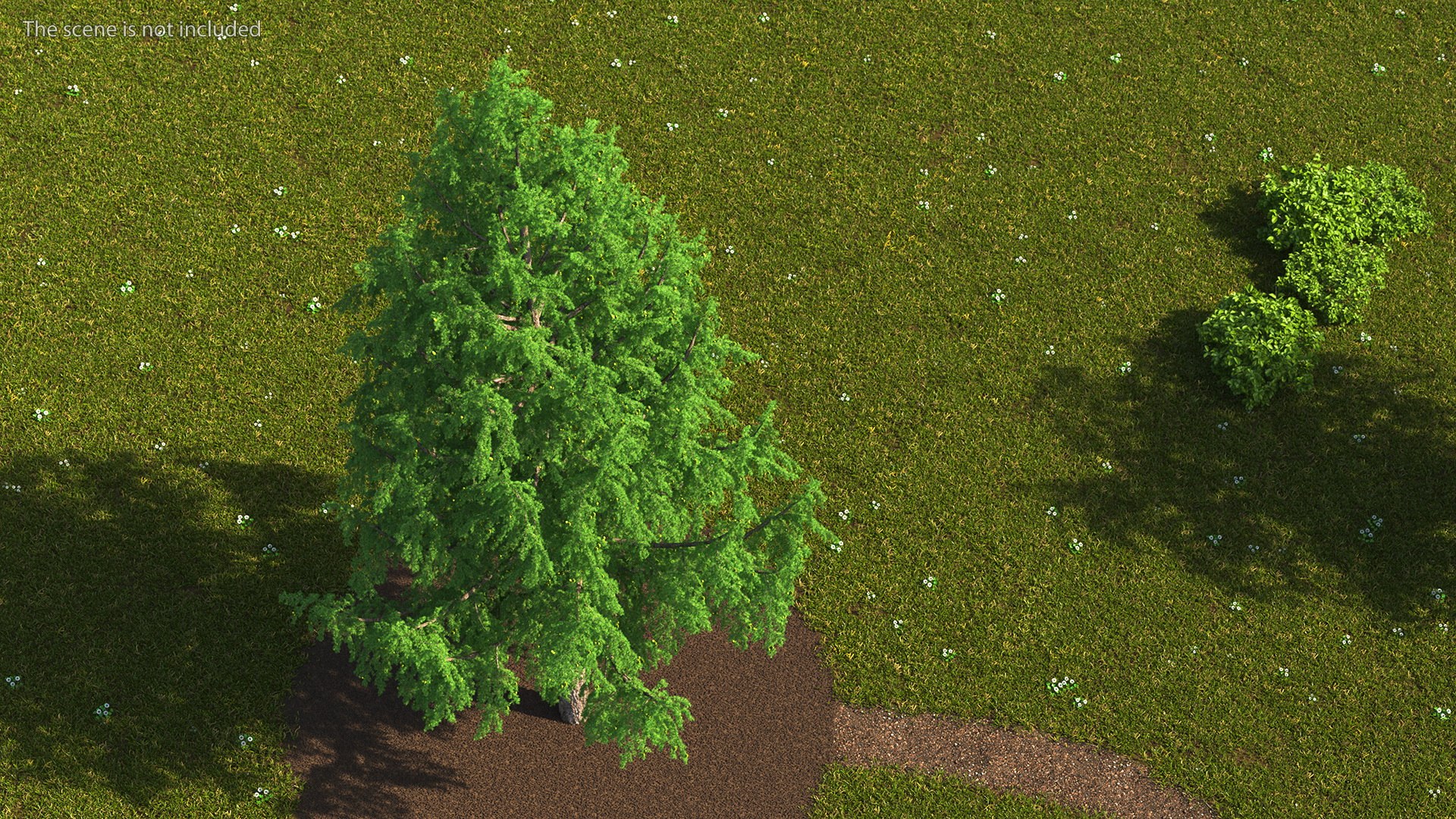 Tall Larch Tree Green with Cones model https://p.turbosquid.com/ts-thumb/uo/sL7Tdf/Ul/talllarchtreegreenwithconesmb3dmodel003/jpg/1645783251/1920x1080/fit_q87/46c49968aa9c0663b1db91b8a6ba1ebfea8be9e8/talllarchtreegreenwithconesmb3dmodel003.jpg