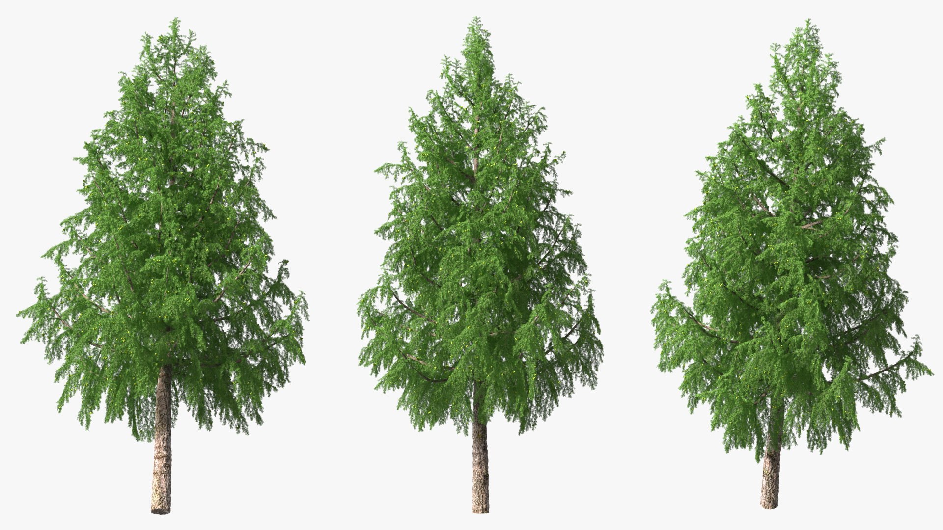 Tall Larch Tree Green with Cones model https://p.turbosquid.com/ts-thumb/uo/sL7Tdf/vE/talllarchtreegreenwithconesmb3dmodel009/jpg/1645783270/1920x1080/fit_q87/31d42edf67f125abf0c182a12547c302f36bb5fa/talllarchtreegreenwithconesmb3dmodel009.jpg