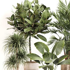 3D Indoor Plant Set 0107