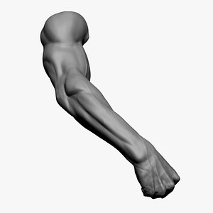 Arm - Fist 3D model