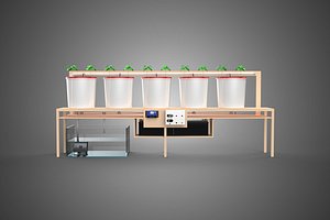 IOT HYDROPONIC PLANT AUTO CONTROL DUTCH BUCKET IRRIGATION SYSTEM