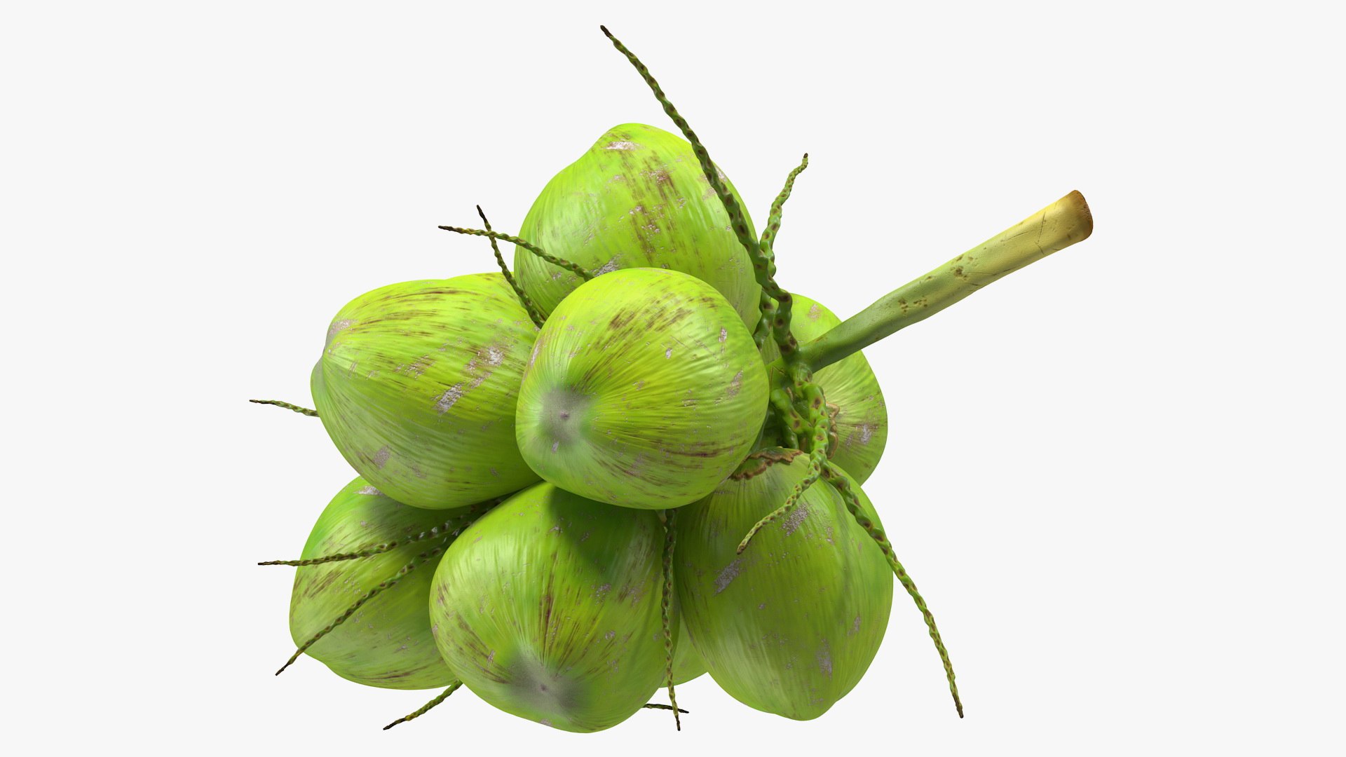 Green Coconut Cluster 3D model preview