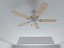 Ceiling Fan 7