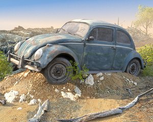 3D model Abandoned Car Wreck Scan