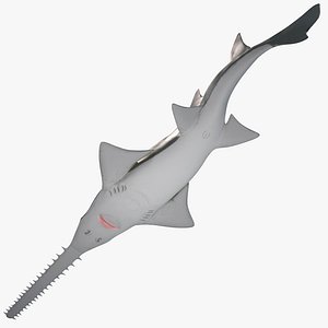 Sawfish Rigged for Maya