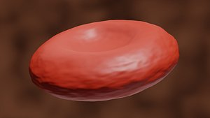 3D red blood cell model