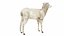 Lamb