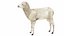 Lamb