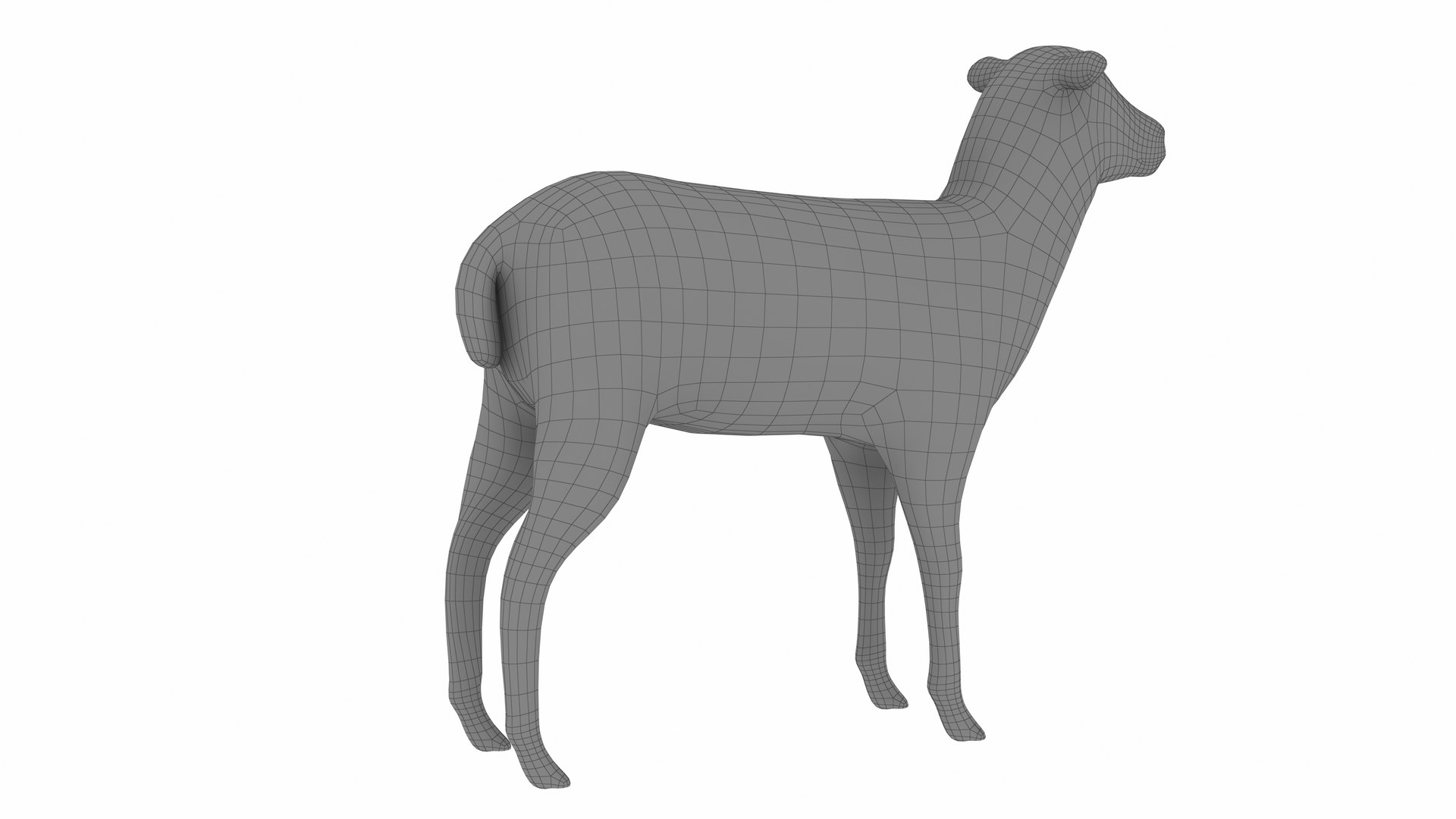 3D Lamb https://p.turbosquid.com/ts-thumb/up/cCOjh2/HZ/lamb9/jpg/1737476968/1920x1080/fit_q87/c489c4e00751cfa954819f71adba20606049d0c4/lamb9.jpg
