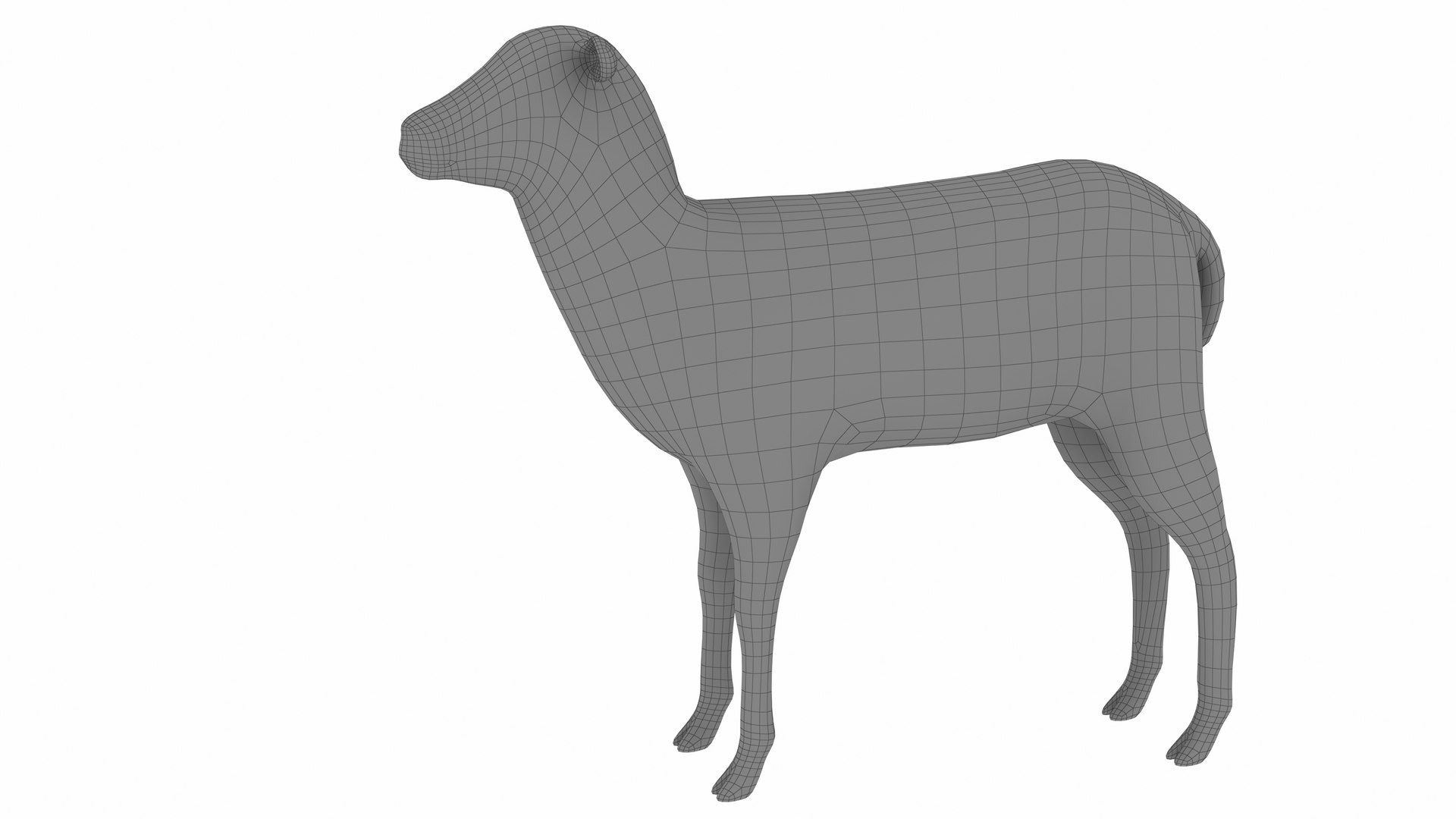 3D Lamb https://p.turbosquid.com/ts-thumb/up/cCOjh2/Nk/lamb12/jpg/1737476966/1920x1080/fit_q87/3c27bf86aa9194a633b2ea62cccdf5ad35921301/lamb12.jpg