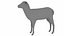Lamb