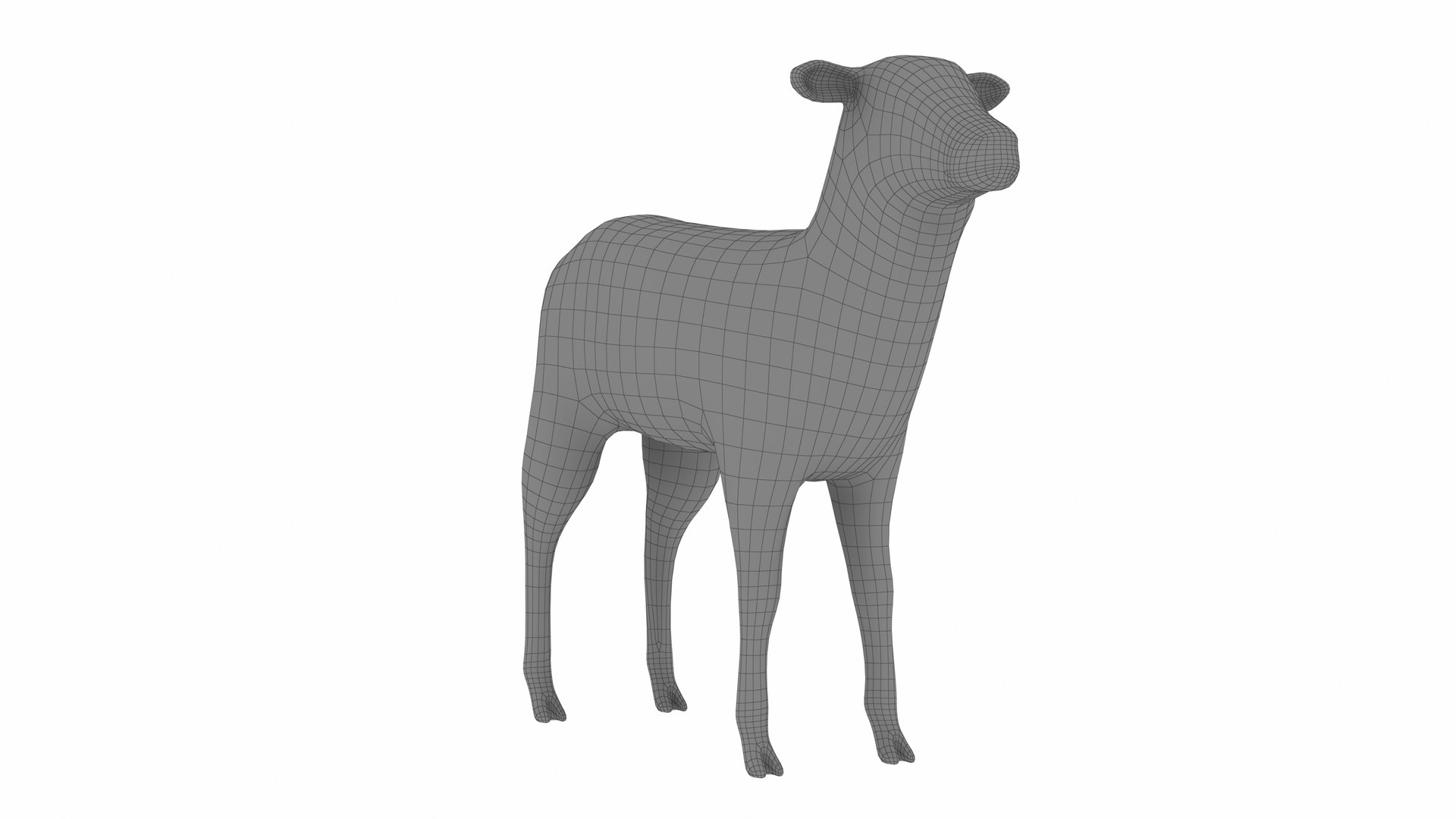 3D Lamb https://p.turbosquid.com/ts-thumb/up/cCOjh2/gH/lamb11/jpg/1737476964/1920x1080/fit_q87/09f44dc77dc301f74184f5cdcf317622d9126dd8/lamb11.jpg