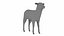 Lamb