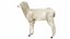 Lamb