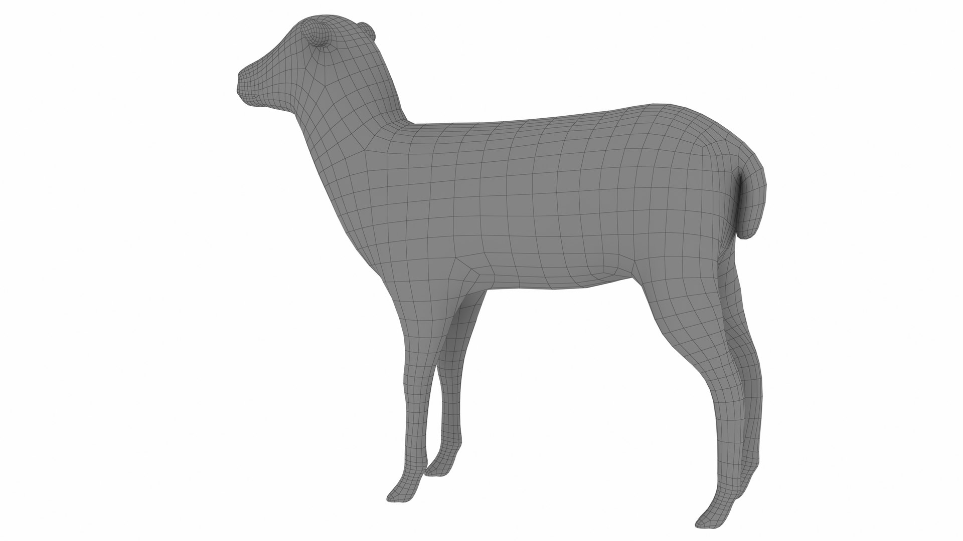 3D Lamb https://p.turbosquid.com/ts-thumb/up/cCOjh2/q8/lamb8/jpg/1737476967/1920x1080/fit_q87/c4648af8f53ef54c4e332a0899f55d94e01aa20d/lamb8.jpg