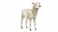 Lamb