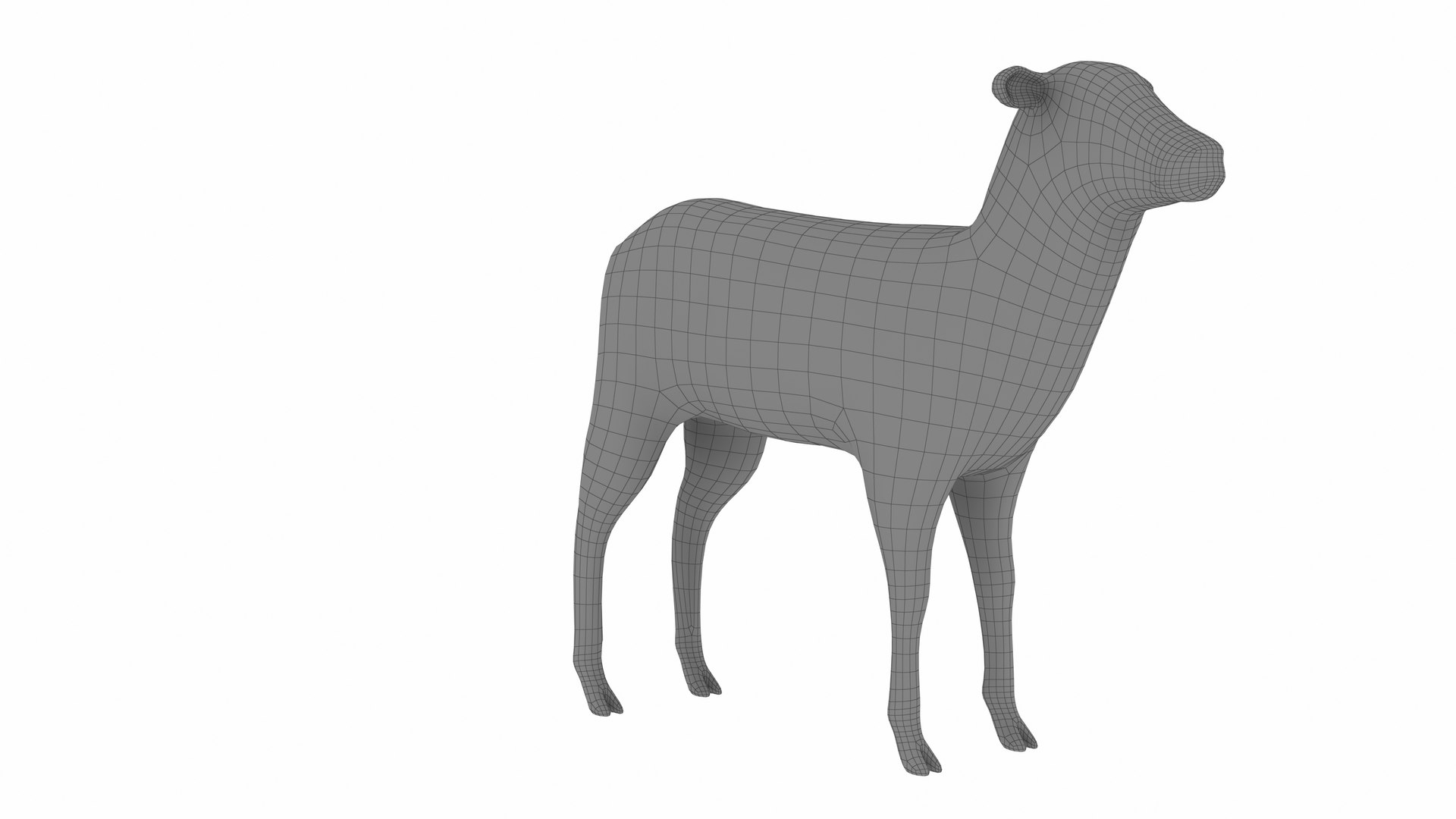3D Lamb https://p.turbosquid.com/ts-thumb/up/cCOjh2/y1/lamb10/jpg/1737476969/1920x1080/fit_q87/21fbba485640b551ef49b12ea438741a69bff16a/lamb10.jpg