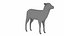 Lamb