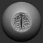 Animal (Monster) Eye 2