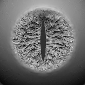 Animal (Monster) Eye 2