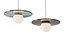 MOLTE