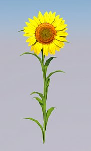 3D model sunflower flower sun