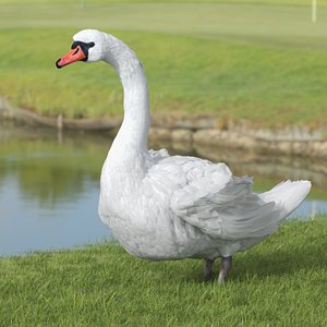 3D model LongNeck Swan Waterfowl