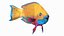 3D Yellow Coral Parrotfish Rigged for Cinema 4D