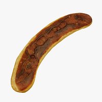 Bratwurst Sausage