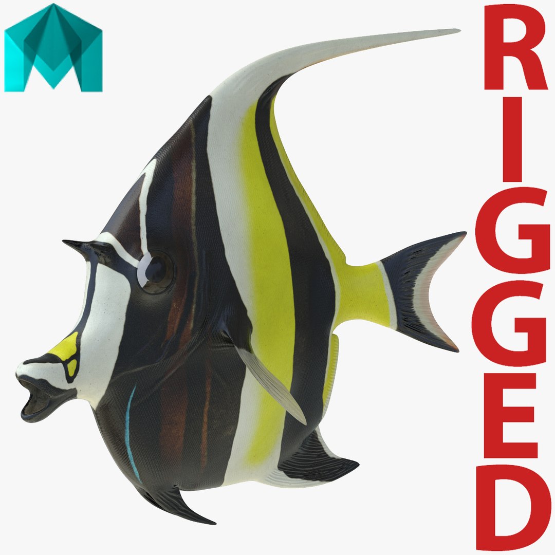 Moorish Idol Fish Rigged for Maya 3D model preview