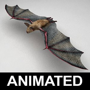 3d model of rigged vampire bat fly animation