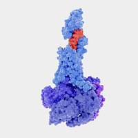 The glucagon-like peptide-1 receptor in complex with G-proteins and the agonist tirzepatide