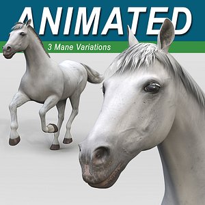 Horse - White