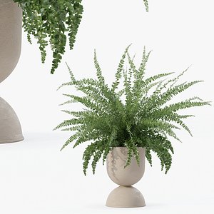 Fern in modern flower pot 3D model