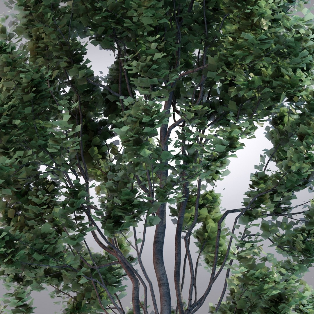hi realistic series tree 3d model https://p.turbosquid.com/ts-thumb/uq/UlybmG/LT4frHSk/tree12_0005/jpg/1343423140/1920x1080/fit_q87/b210c156e20f74d138878380050273b39e0403bc/tree12_0005.jpg