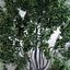 HI Realistic Series Tree - 012