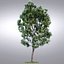 HI Realistic Series Tree - 012
