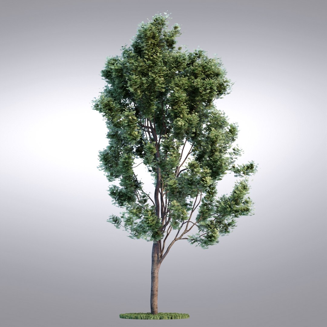 hi realistic series tree 3d model