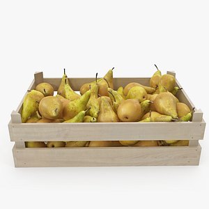 pears conference 03-06 wooden crate 3D model