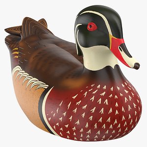 Duck Decoy 02
