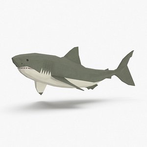 shark---upward 3D