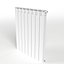 Radiator Heater