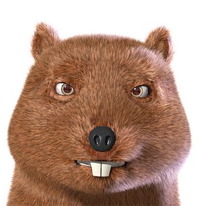 beaver 3d model