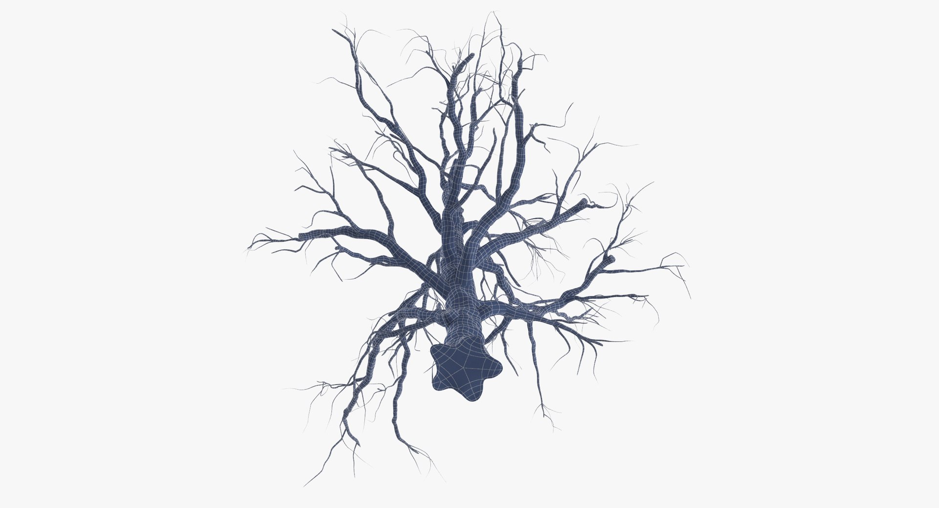 3d model old dead tree 01 https://p.turbosquid.com/ts-thumb/uq/q4fLLH/CFa8EIDr/old_dead_tree_01_wireframe_0006/jpg/1481471838/1920x1080/fit_q87/40d40c30419e3f3a54c068c98b7fed44af6fa02d/old_dead_tree_01_wireframe_0006.jpg