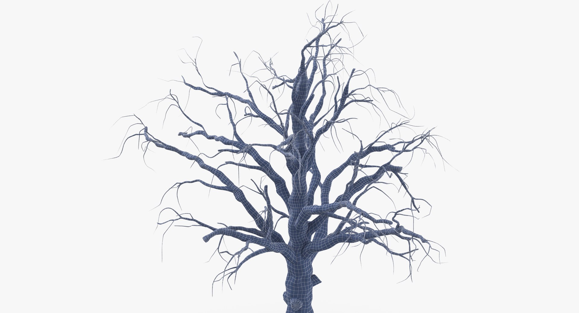 3d model old dead tree 01 https://p.turbosquid.com/ts-thumb/uq/q4fLLH/DrecIHiT/old_dead_tree_01_wireframe_0007/jpg/1481471838/1920x1080/fit_q87/948c1615b5bc4fe66787cd0a45a4295d4ced5beb/old_dead_tree_01_wireframe_0007.jpg